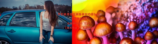 первитин Алексеевка