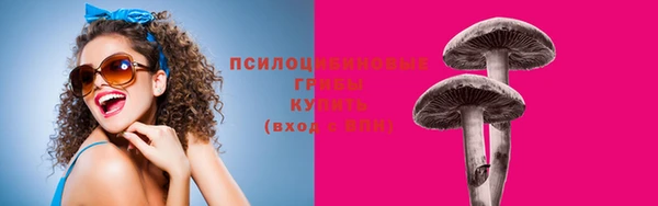 эйфоретик Аркадак