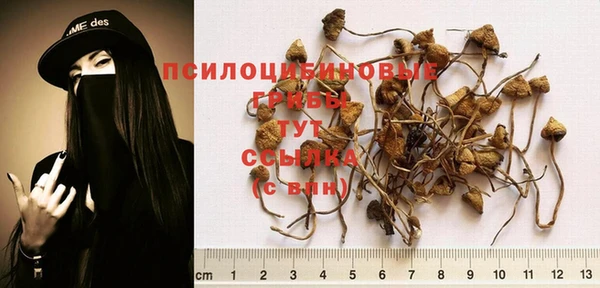 марки nbome Алзамай