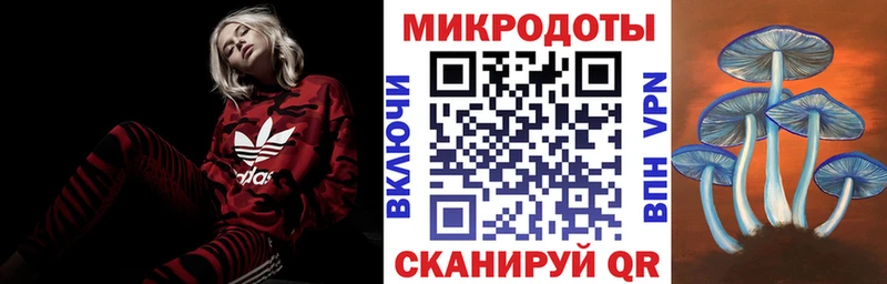 Галлюциногенные грибы прущие грибы  Гаджиево 